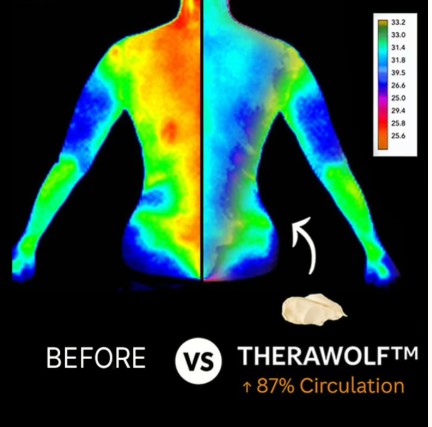 Areas TheraWolf can help