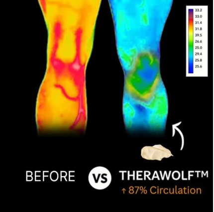 800,000+ customers chose TheraWolf